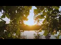 Восхитительный релакс для сна и отдыха!!! Красивая, расслабляющая мелодия! Parijat - Forgiving