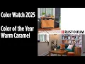 Color Watch Rust-Oleum Color of the Year 2025