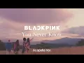 Download Lagu [Clean Acapella] BLACKPINK - You Never Know