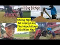 Download Lagu 1203# Không Ngờ Số Lượng Lúa Thu Hoạch Được Của Năm Nay, Ai Cũng Bất Ngờ 