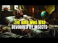 Download Lagu The King Who Was Devoured by Insects: The Gruesome End of a Warrior Lord #history