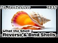 What the Shell Reverse Bind Shells Jr PenTester EP37 TryHackMe Privilege Escalation