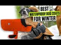 3 BEST Waterproof Dog Coats for Winter - Don t Wait Until They re Soaked