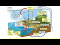 APES Unit 1 5 The Nitrogen Cycle