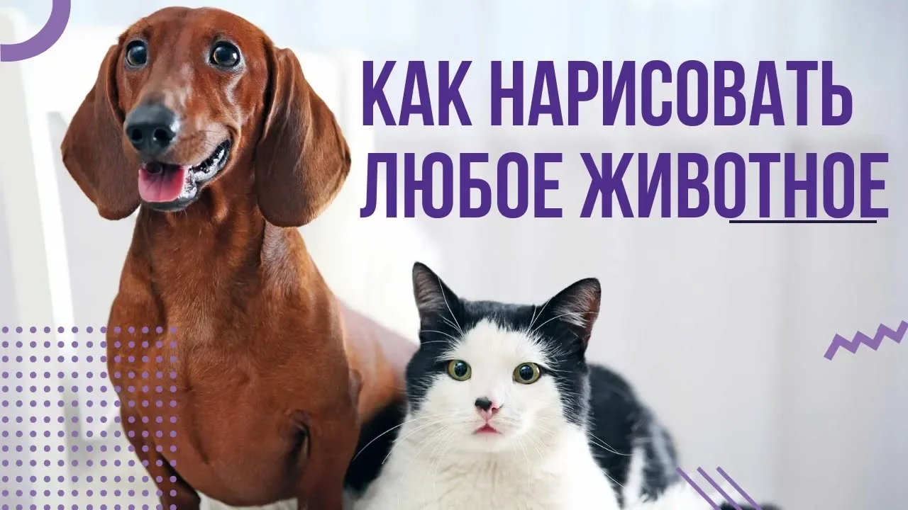 Задание 0 - Как нарисовать любое животное?