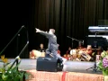 Gamelan Harimau Silat APSF