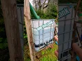 HOW TO collect rain Off-grid IBC tote water storage