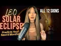 The Next 6 Months Will Change Who You Are Leo Solar Eclipse All 12 Signs 2026