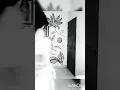 Sawa Aatoul / Bassima ~ La Danza de mi Existencia 💘