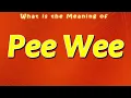 Download Lagu What is the Meaning of Pee Wee