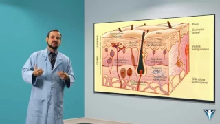 Dry Needling (Agulhamento a Seco) - Dr. José Góes