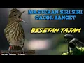 Download Lagu 🔴MASTERAN SIRI-SIRI GACOR TEMBAKAN TAJAM RAPAT MEWAH ‼️