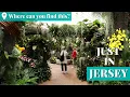 A dazzling display of bucolic scenery awaits at Duke Farms in New Jersey