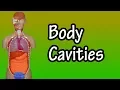 Body Cavities - Body Cavity Anatomy