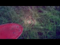 Do Whatever - Brenky