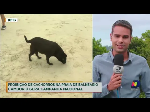 Proibição de cachorros em praias de Balneário Camboriú gera campanha nacional