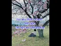 My Lonely Heart (lyrics) - the Thunderbirds