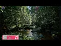 174 Hz + 528 Hz 🌿 Cortisol Flush • Activate Parasympathetic Calm & End Overthinking Now