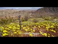 Jon Foreman - In Bloom (feat. Joy Oladokun) (Official Lyric Video)