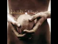Angelica - Lamb