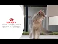 Royal Canin Take Your Cat to the Vet Urinary