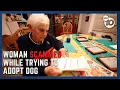 Woman loses 500 in dog adoption scam