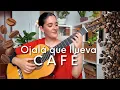 Download Lagu Ojalá que llueva café