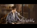 Download Lagu Aimyon (あいみょん) - Marigold (マリーゴールド) (Cover by 하현상 Ha Hyunsang)