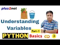 Python Variables Explained in Simple Words Colab Demo