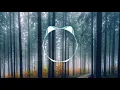 Cocabona - Daybreak (Chill/Relax/Study Music)