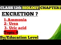 Excretion in Humans Ammonia Urea Uric Acid Class 12 Biology Education Level