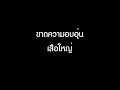 ขาดความอบอุ่น - เสือใหญ่ [Full HD]