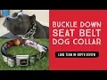 Buckle Down Seat Belt Buckle Dog Collar - Long Term Review