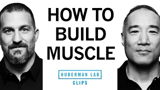 How to Maximize Muscle Protein Synthesis Alan Aragon Dr Andrew Huberman