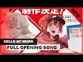 Download Lagu Cells at work full opening song