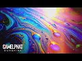 CAMELPHAT - Sunshine