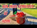 How to make Sun dried tomatoes at home like a pro