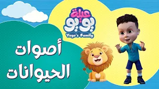 أصوات الحيوانات أغاني للأطفال YOYO Family 