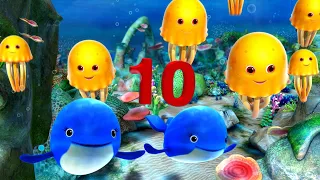 Underwater Adventure with Jacus! 🐠 Learn to Count to 10 with Fish | Little Baby Bum