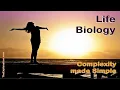 Life Biology The Mysterious Link Between Rocks and Cells