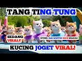Download Lagu TANG TING TUNG - Versi Kucing Lucu \u0026 Kawan-Kawan Viral TikTok 2024 | DJ Remix Full Bass
