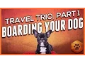 Choosing a Dog Boarding Kennel What You Need to Know