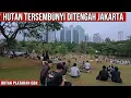 Download Lagu HUTAN TERSEMBUNYI DI TENGAH JAKARTA TEMPAT NONGKRONG ANAK GEN Z 