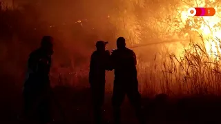 Greek Firefighters Battle Deadly Park Blaze  Greek Firefighters Battle Deadly Park Blaze