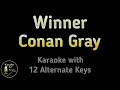 Download Lagu Conan Gray - Winner Karaoke Instrumental Lower Higher Female \u0026 Original Key