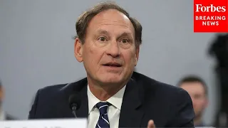 Looks To Me Like Primarily A Factual Question Samuel Alito Grills Lawyer On Proving Persecution