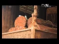 Download Lagu Potret DAAI TV - Tarombo Mandailing
