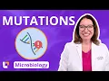 Mutations Microbiology Genetics Pre-Nursing Pre-Med Health Field Careers LevelUpRN