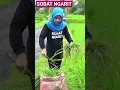 gadis cantik sobat ngarit