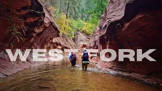 Backpacking the WEST FORK TRAIL in Sedona Arizona Full hike and camping in the canyon